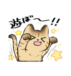 キジトラとハチワレ2（個別スタンプ：16）