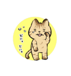 キジトラとハチワレ2（個別スタンプ：18）