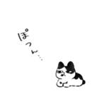 キジトラとハチワレ2（個別スタンプ：20）