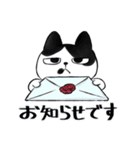 キジトラとハチワレ2（個別スタンプ：23）