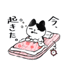 キジトラとハチワレ2（個別スタンプ：27）