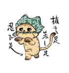 キジトラとハチワレ2（個別スタンプ：31）