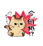キジトラとハチワレ2（個別スタンプ：34）