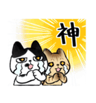 キジトラとハチワレ2（個別スタンプ：39）