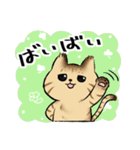 キジトラとハチワレ2（個別スタンプ：40）