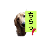 山田プチ③（個別スタンプ：18）