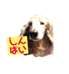 山田プチ③（個別スタンプ：30）