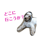 E.コッカー ハリーの日常（個別スタンプ：10）