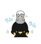 ぜーんぶ絶滅危惧種どうぶつ（個別スタンプ：29）