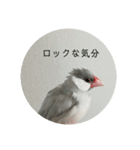ことちゃん-種-（個別スタンプ：13）