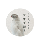 ことちゃん-種-（個別スタンプ：14）
