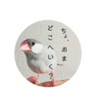 ことちゃん-種-（個別スタンプ：18）