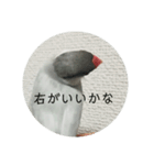 ことちゃん-種-（個別スタンプ：19）