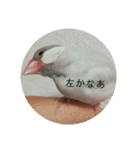 ことちゃん-種-（個別スタンプ：20）