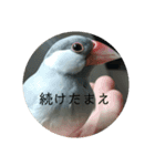ことちゃん-種-（個別スタンプ：26）