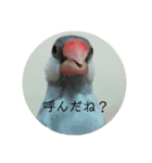 ことちゃん-種-（個別スタンプ：27）