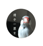 ことちゃん-種-（個別スタンプ：29）