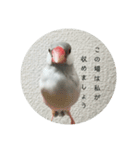 ことちゃん-種-（個別スタンプ：31）