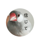 ことちゃん-種-（個別スタンプ：32）