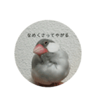 ことちゃん-種-（個別スタンプ：35）
