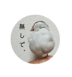 ことちゃん-種-（個別スタンプ：36）