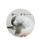 ことちゃん-種-（個別スタンプ：37）