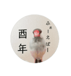 ことちゃん-種-（個別スタンプ：40）