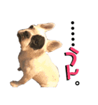 フレブルARUの毎日…。（個別スタンプ：7）