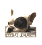 フレブルARUの毎日…。（個別スタンプ：22）