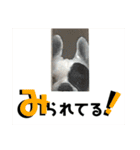 フレブルARUの毎日…。（個別スタンプ：25）