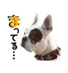 フレブルARUの毎日…。（個別スタンプ：32）