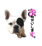 フレブルARUの毎日…。（個別スタンプ：36）