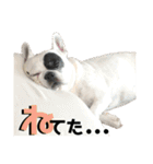 フレブルARUの毎日…。（個別スタンプ：39）