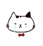 ねこのまめさん（個別スタンプ：4）