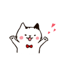 ねこのまめさん（個別スタンプ：9）