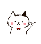 ねこのまめさん（個別スタンプ：12）