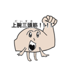 筋肉を鍛えてほしい人のためのスタンプ（個別スタンプ：10）