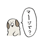 わんわんだよ～っ（個別スタンプ：9）