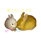 うさぎと野良猫（個別スタンプ：18）