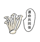 鍋友つみれちゃん（個別スタンプ：14）
