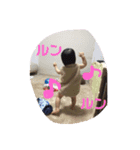 はるファン2（個別スタンプ：5）