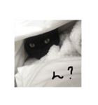 ん？とかうん、とか。（個別スタンプ：3）