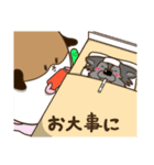 モルちゃんとオオカミ”君＆しゃくとり君（個別スタンプ：27）