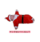 mio.stampp（個別スタンプ：7）