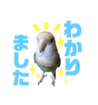 うちのモモ知りませんか？〜2（個別スタンプ：3）