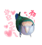 うちのモモ知りませんか？〜2（個別スタンプ：4）