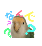 うちのモモ知りませんか？〜2（個別スタンプ：10）