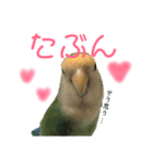 うちのモモ知りませんか？〜2（個別スタンプ：13）