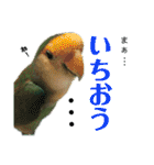 うちのモモ知りませんか？〜2（個別スタンプ：14）