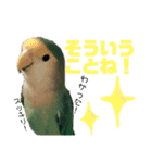 うちのモモ知りませんか？〜2（個別スタンプ：17）